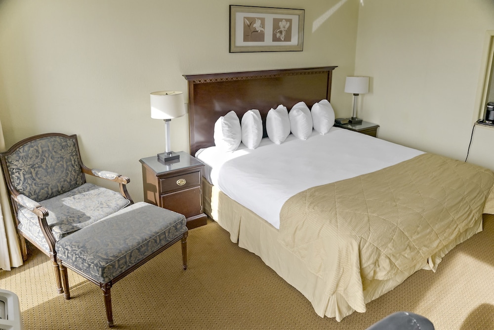 Economy Hotel Plus Wichita - photo 10
