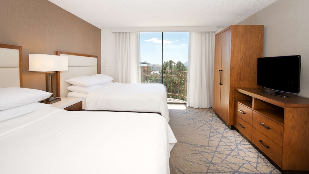Embassy Suites by Hilton Colorado Springs - photo 35