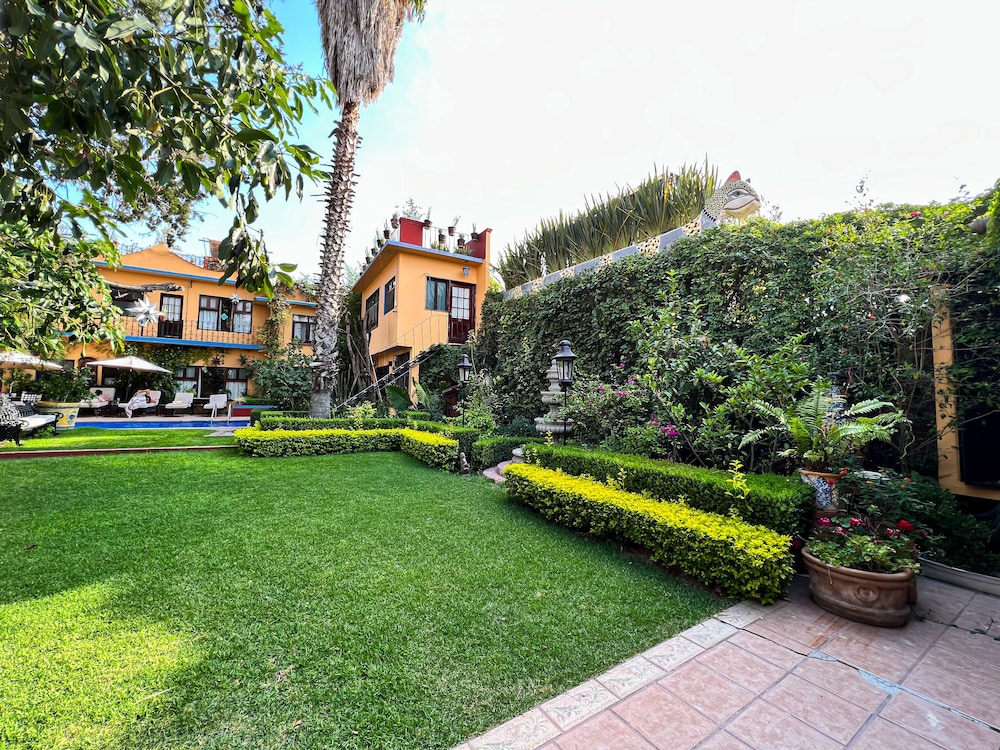 Garden view