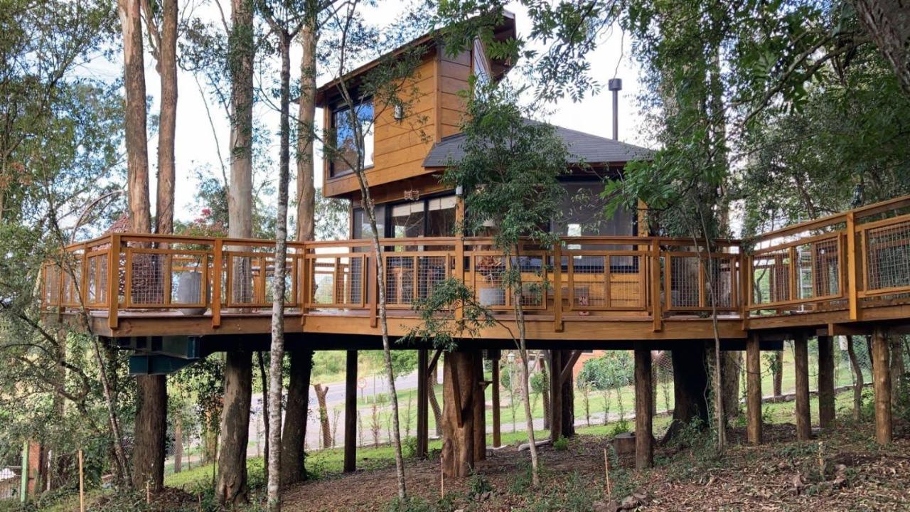 Casa na Árvore Morada dos Vagalumes — 4-Star Luxury Hotel in Farroupilha, Brasil