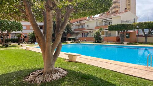 Apartamento PARADISE Solo Familias — 4-Star Luxury Hotel in Gandia, Spain