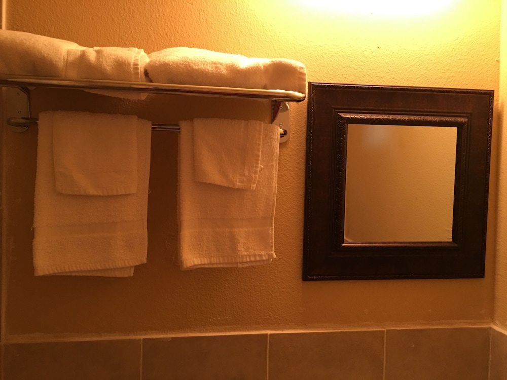 Reddy Inn and Suites - photo 30