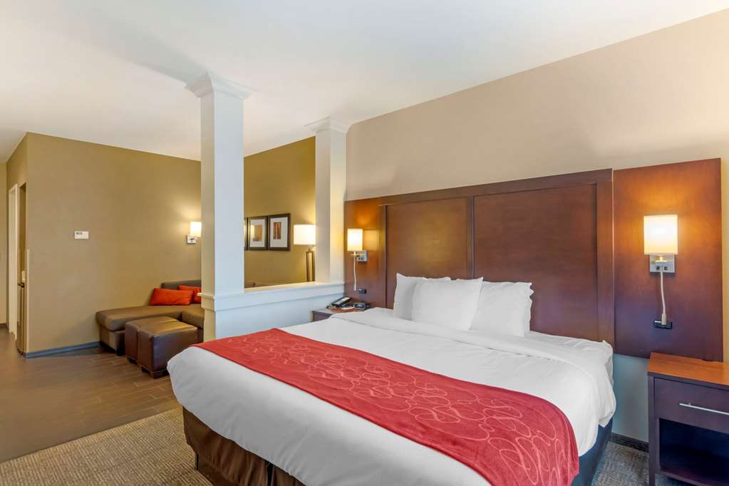 Comfort Suites St George University Area - photo 15