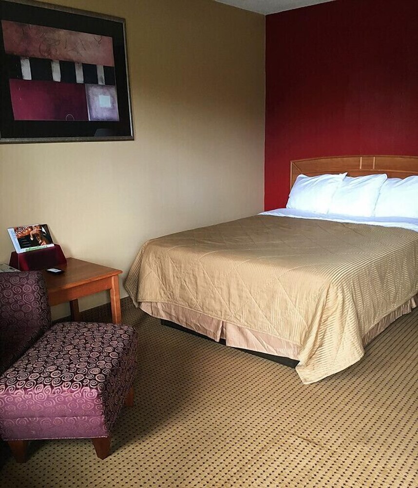 Fairview Inn Airport - photo 5
