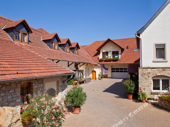Weingut Ellernhof Landhotel — hotel in Alzey