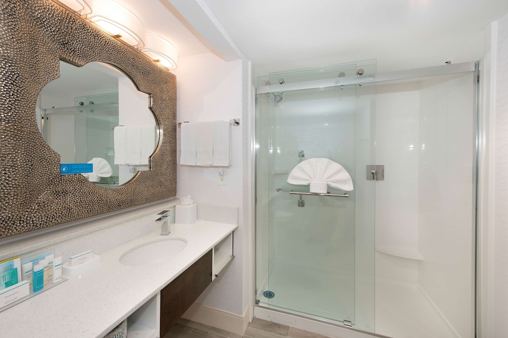 Hampton Inn & Suites Atlanta Galleria - photo 29