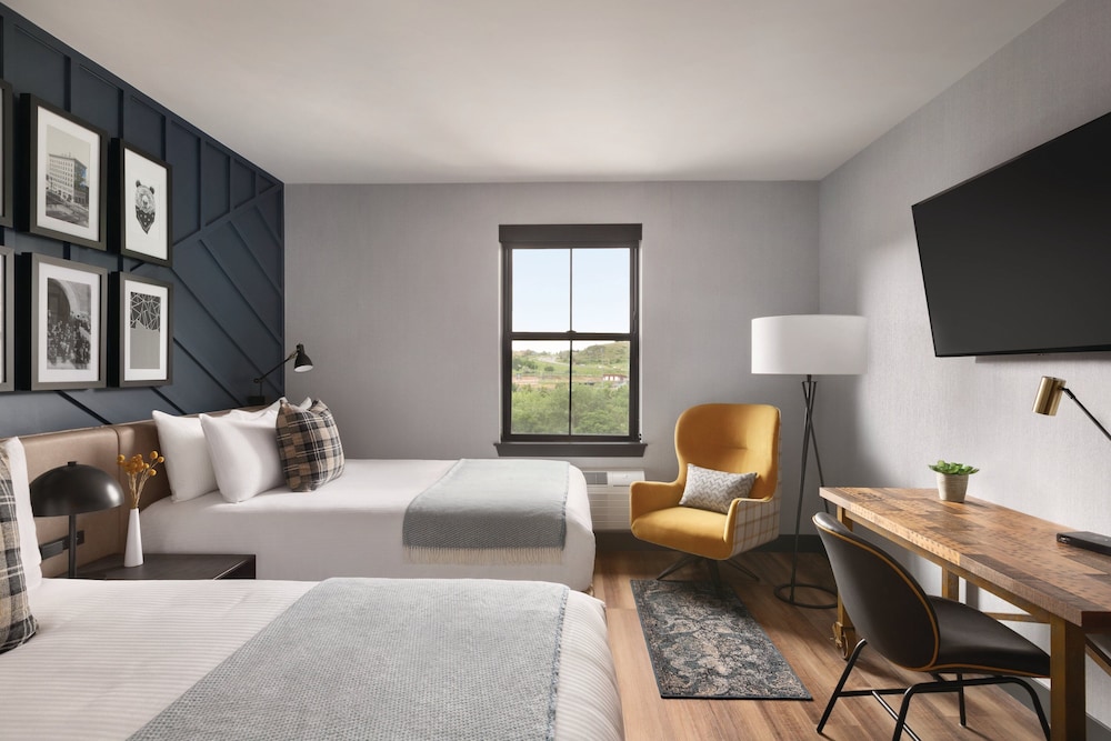 The Eddy Taproom & Hotel - photo 15