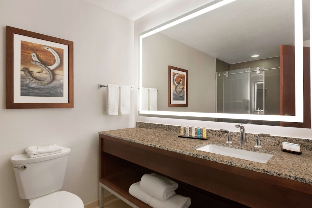 Embassy Suites by Hilton Dallas DFW Airport North - photo 37