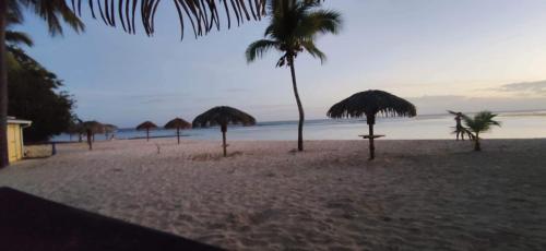 Le Tiaré — 4-Star Luxury Hotel in Saint-Francois, Guadeloupe