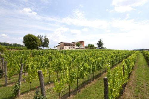 Alloggio Agrituristico Corte San Biagio — Corno Di Rosazzo — photo 4