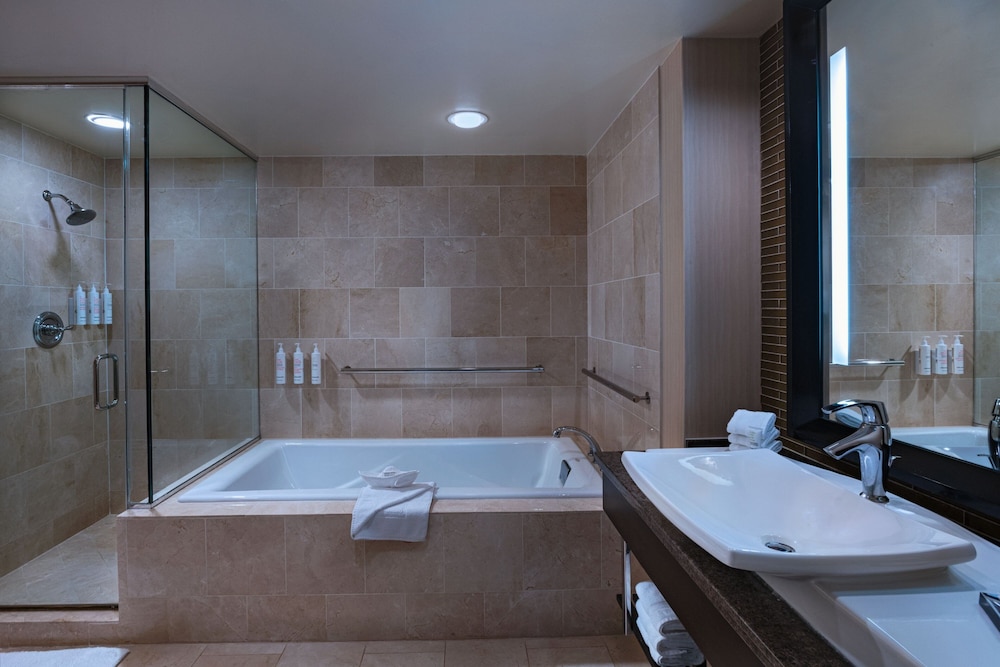 The Woodlands Waterway Marriott Hotel & Convention Center - photo 31