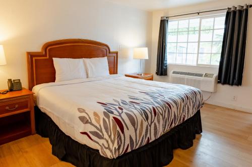 Courtesy Inn Motel - photo 10