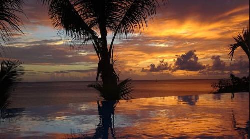Les Portes du Paradis surplombant la mer in Pointe-Noire, Guadeloupe