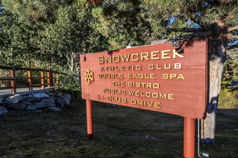 The Village at Mammoth Lakes - photo 21