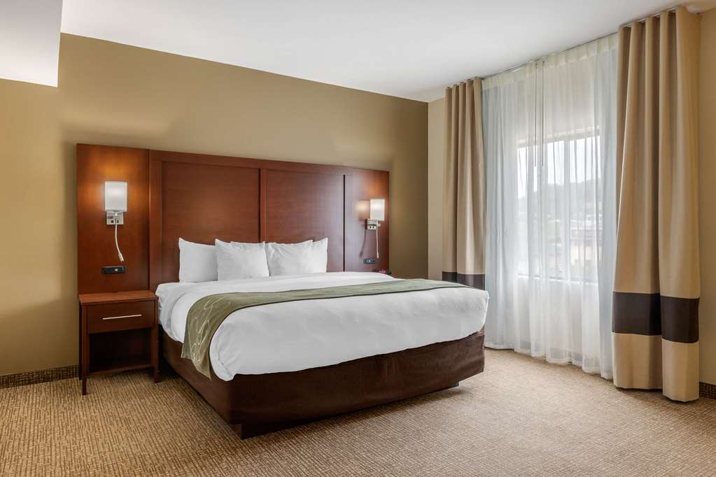 Comfort Suites Johnson City near University - photo 16
