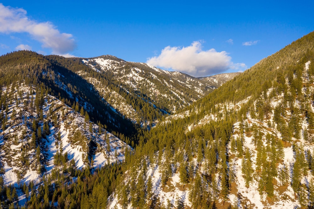 Bear Creek Resort - photo 16