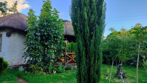 Podocarpus cottages — Naro Moru — photo 3