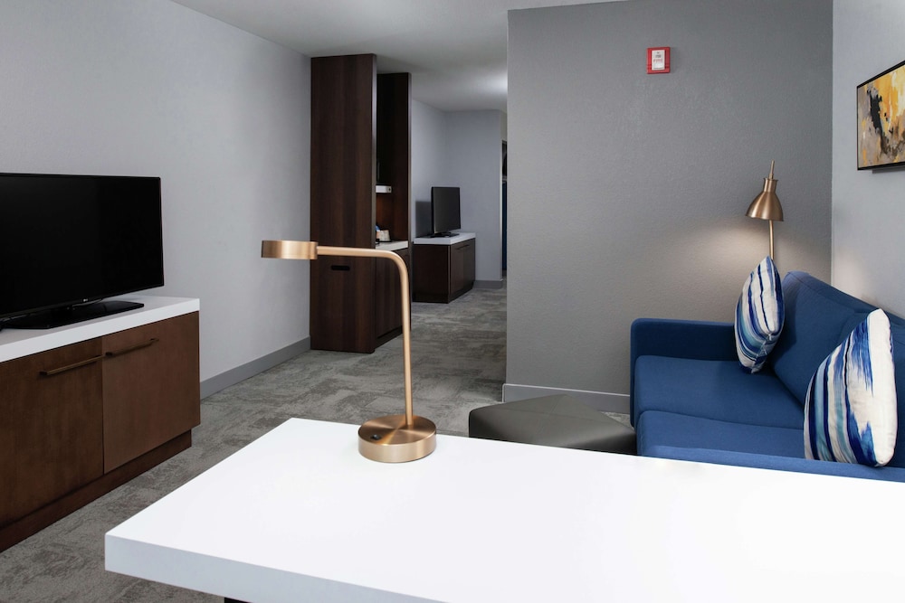 Hilton Garden Inn Baton Rouge Airport - photo 22