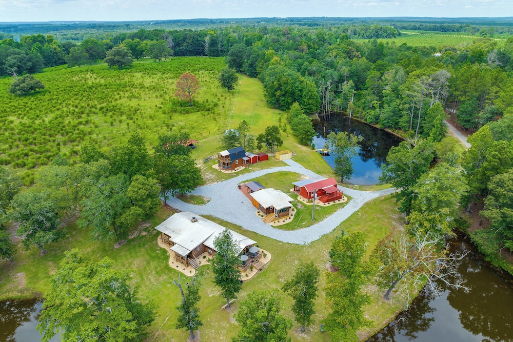 Relaxing Buena Vista Getaway with Lush Lake Views — hotel in Buena Vista