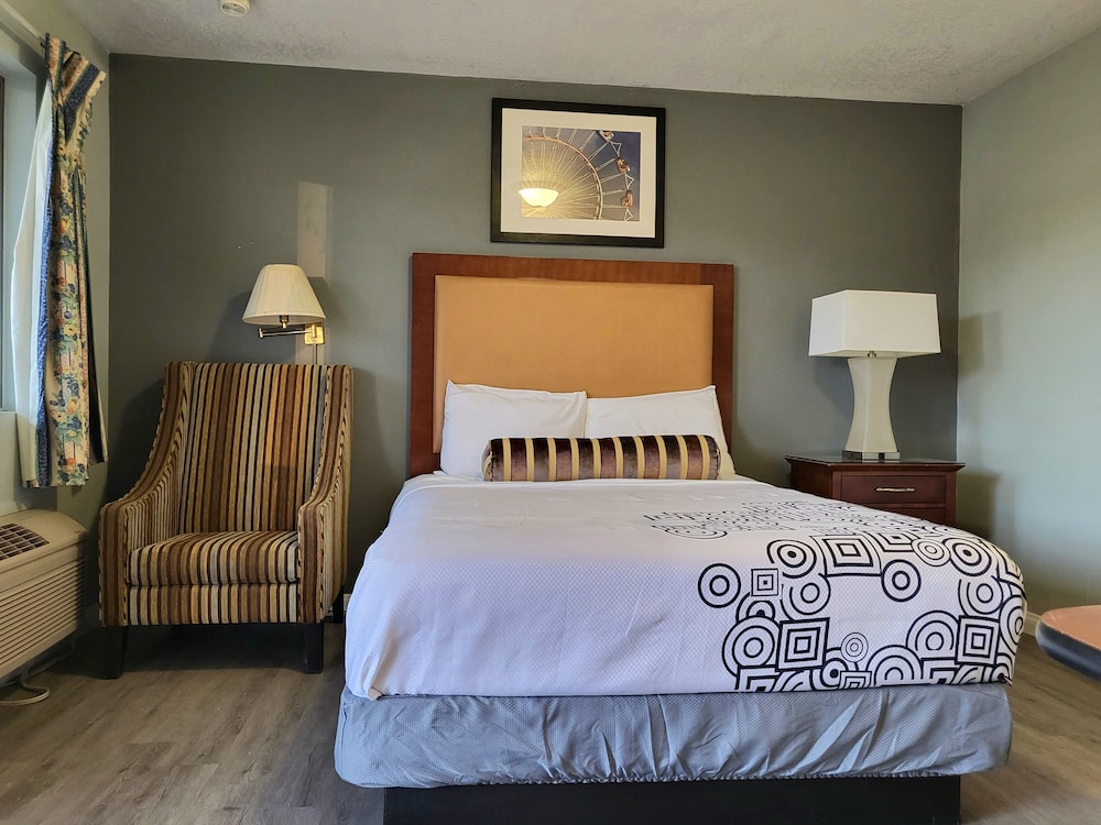 Star Inn - photo 7