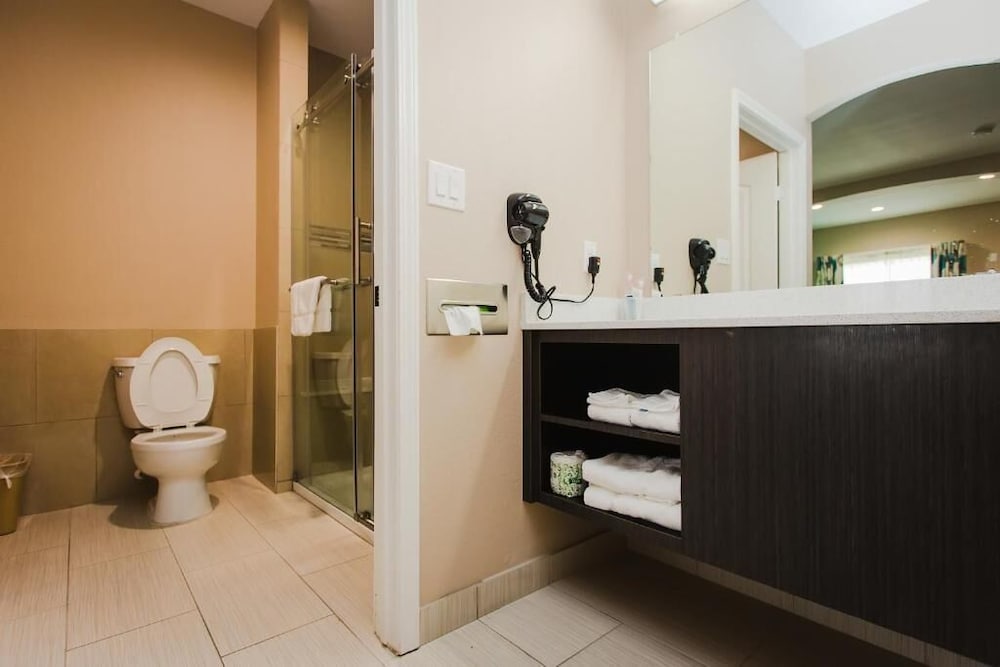 Palace Inn and Suites Willowbrook Mall - photo 30