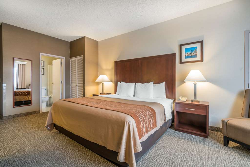 Comfort Inn & Suites Seattle North - photo 6