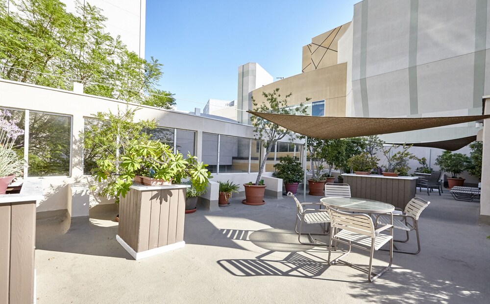 Hollywood Orchid Suites - photo 30
