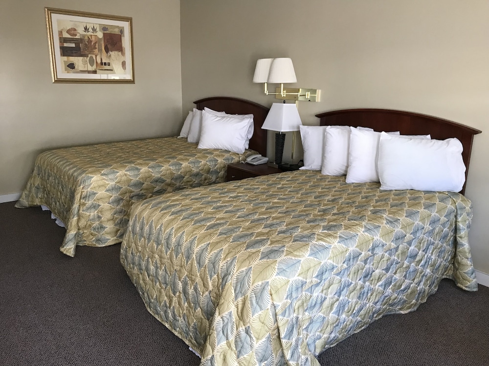 White Birches Motel - photo 18