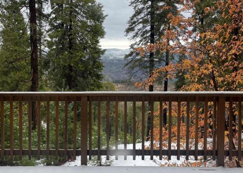 Yosemite Aviary Bird's Eye View Awesome Upper Unit - last minute hotel in Unknown City