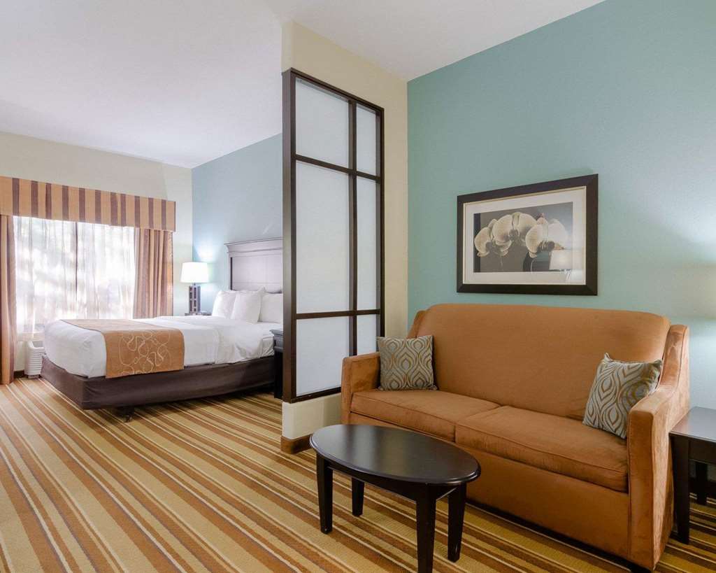 Comfort Suites Topeka Northwest - photo 9