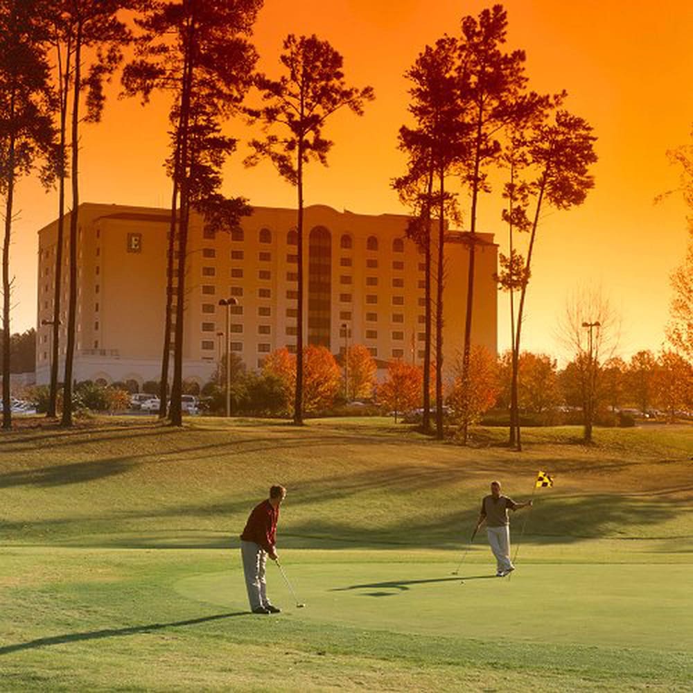 Embassy Suites Greenville Golf Resort & Conference Center - photo 26