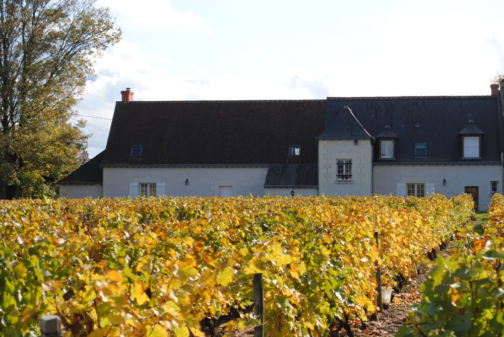 Au Clos de l'Epinay — hotel in Vouvray