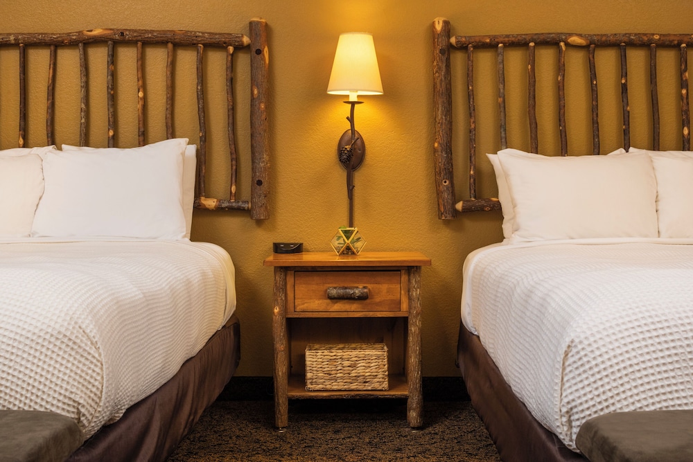 Grand Lodge Waterpark Resort - photo 28