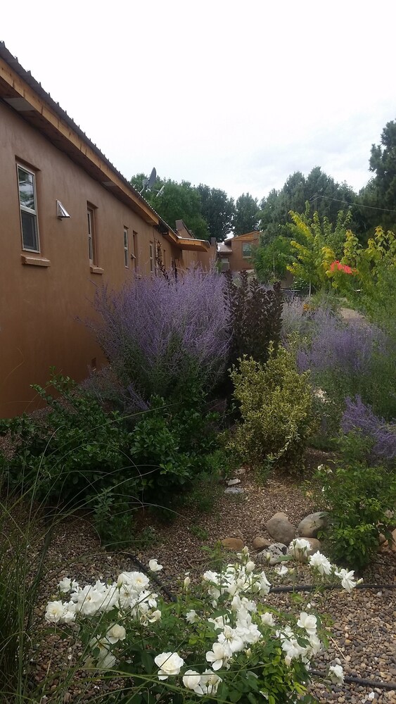 Stone Lizard Lodging - photo 32
