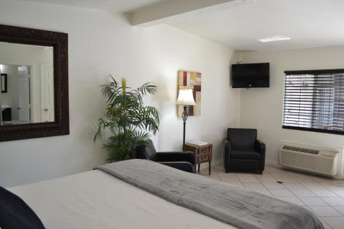 All Worlds Resort - photo 7