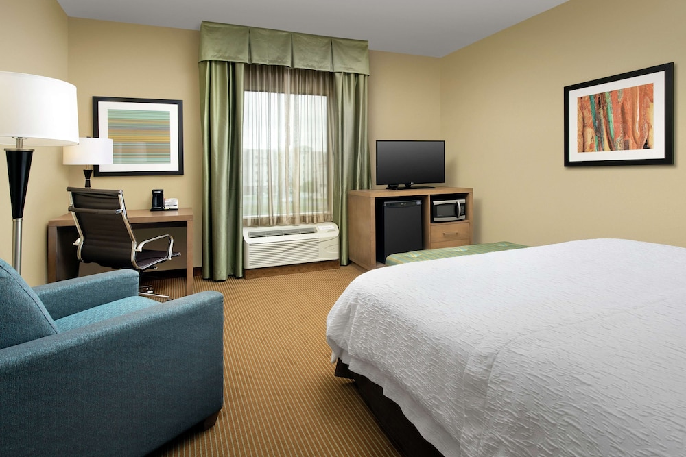 Hampton Inn Lake Charles - photo 14