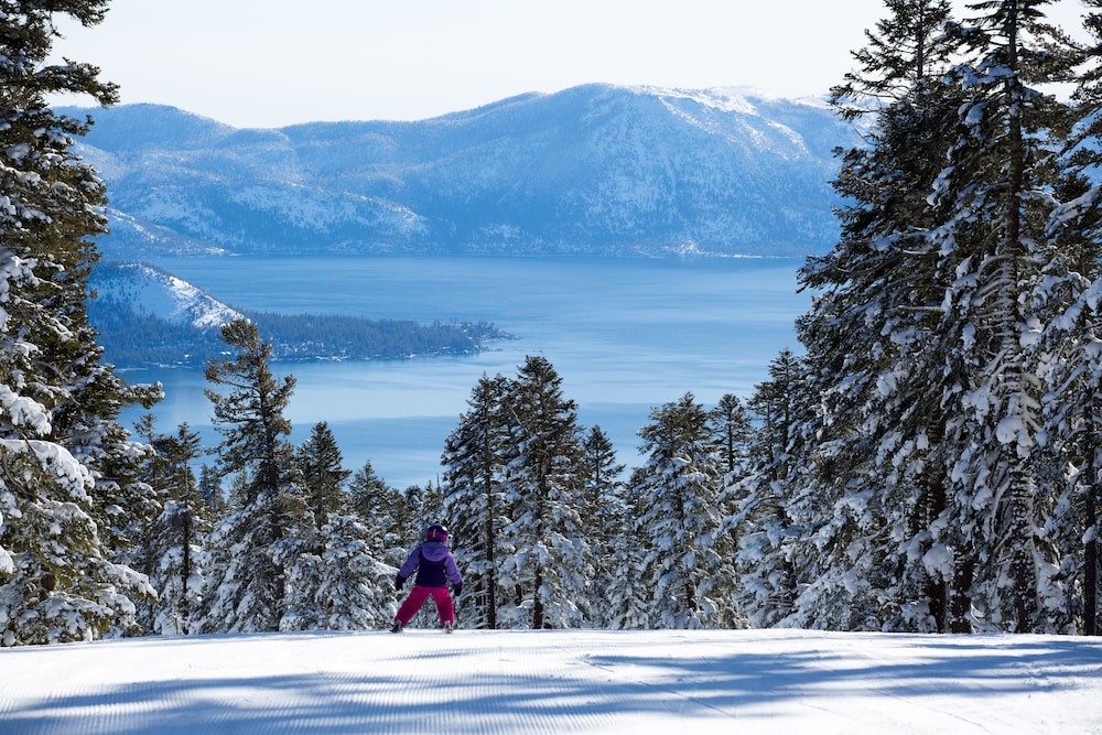 Northstar California Resort by East West Hospitality - photo 400