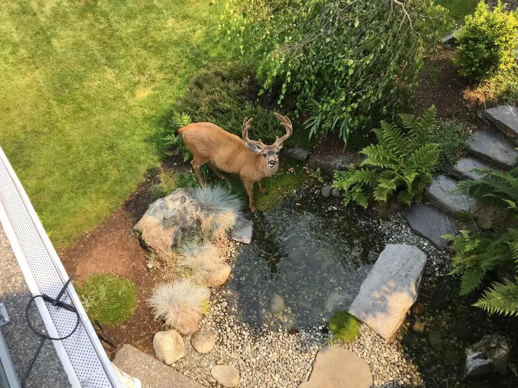 NeckPoint Treasure in Nanaimo, Canada