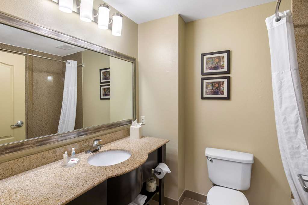 Comfort Inn & Suites Cedar Hill Duncanville - photo 14
