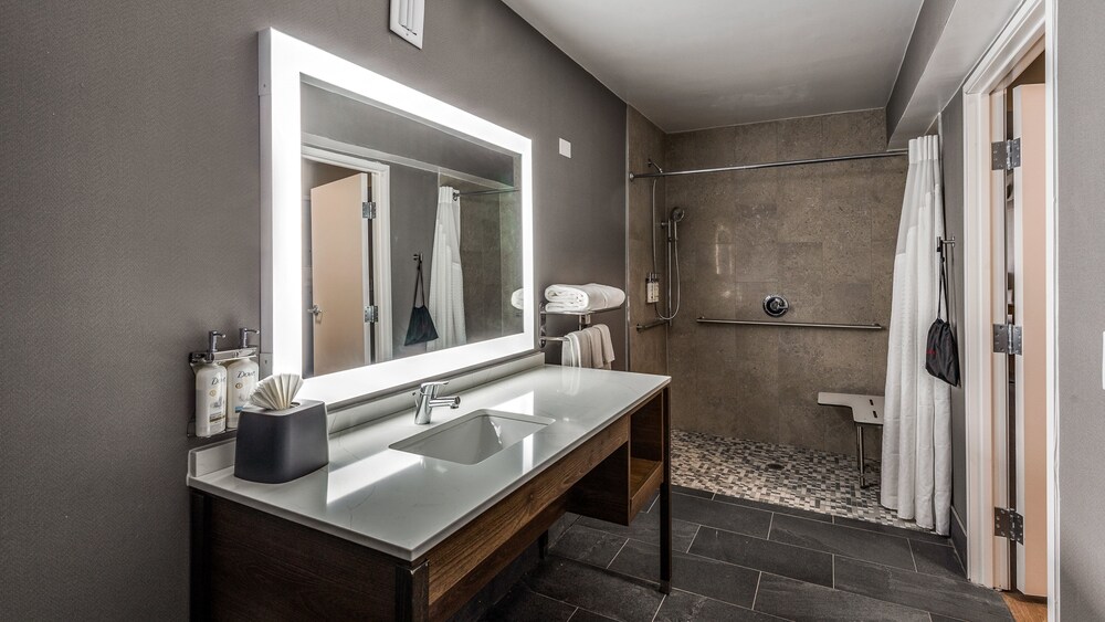 Holiday Inn Dallas Market Ctr Love Field by IHG - photo 10