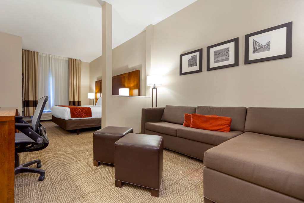 Comfort Suites La Vista Omaha - photo 20