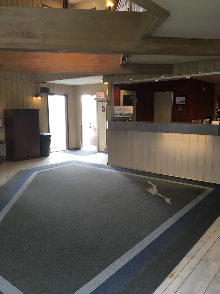 The Grey Gull - photo 2