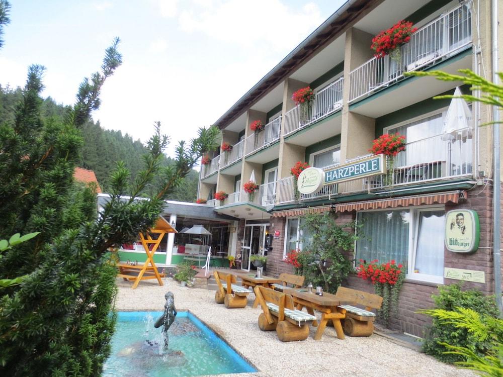 Pension Harzperle — Wildemann — photo 3