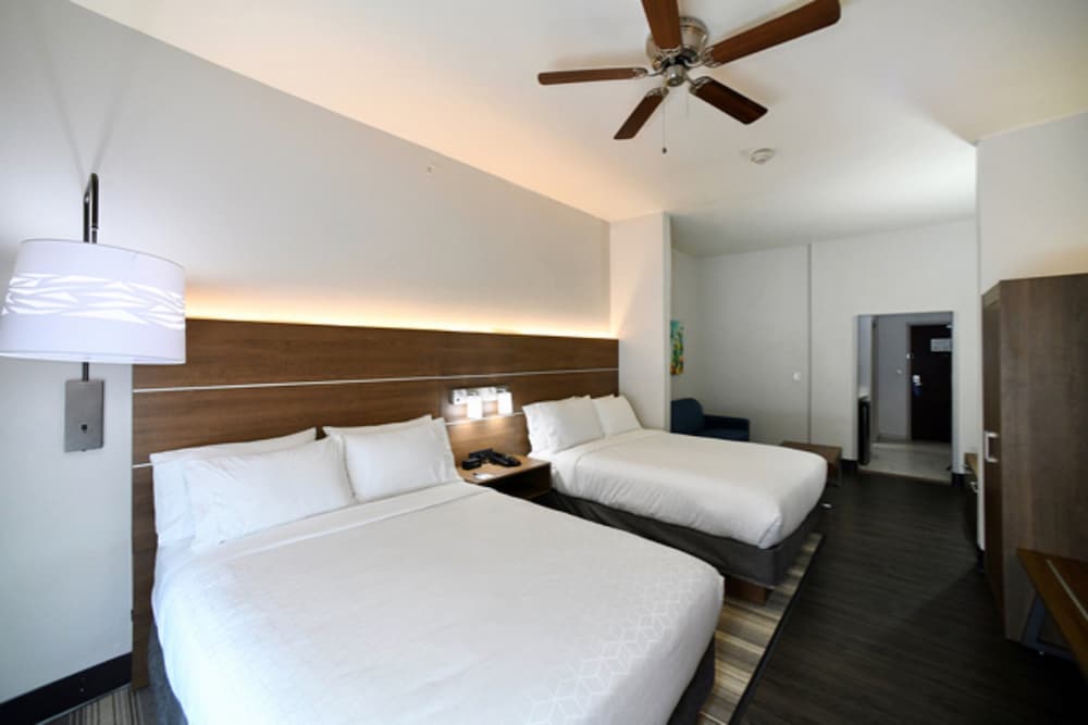 Holiday Inn Express Hotel & Suites Seguin by IHG - photo 16