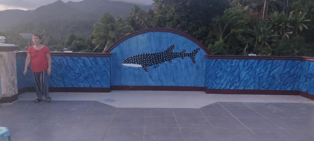 D & G Transient House — 5-Star Luxury Hotel in Pintuyan, Philippines