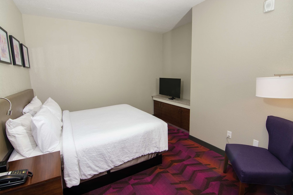 Hilton Garden Inn Tampa Suncoast Parkway - photo 26