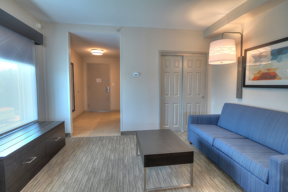 Holiday Inn Express Hotel & Suites Mobile Saraland by IHG - photo 41