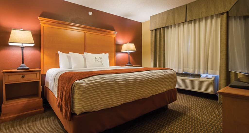 Best Western Plus Deer Park Hotel & Suites - photo 21