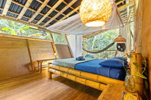 Finca La Selvita Chocolate experience in Unknown City, Colombia