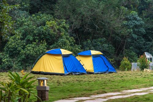 Dandeli Wild River Resort — Dandeli — photo 3